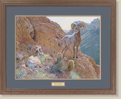The Overseer-Dall Sheep by Jim Kasper